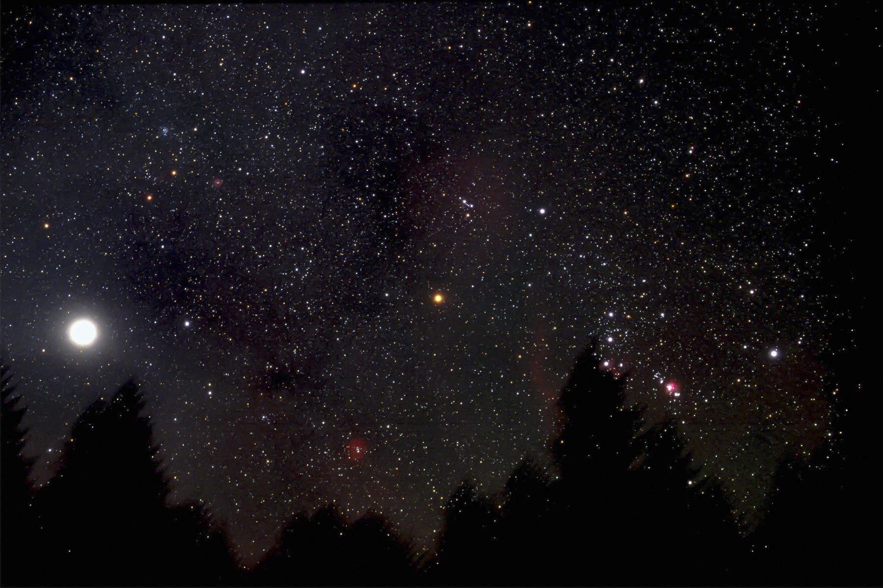 Orion Rising in the East - Astrophography